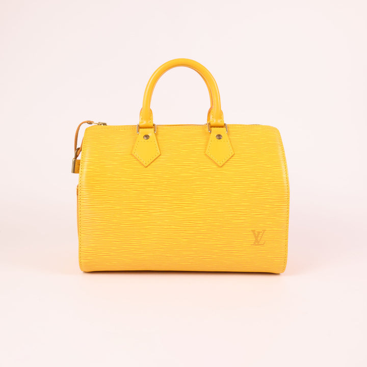Louis Vuitton Speedy 25 Epi