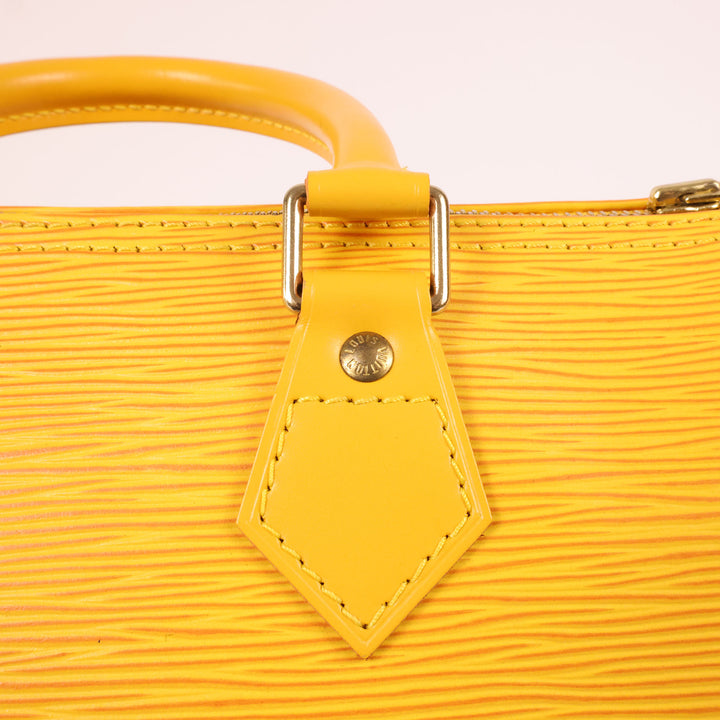 Louis Vuitton Speedy 25 Epi