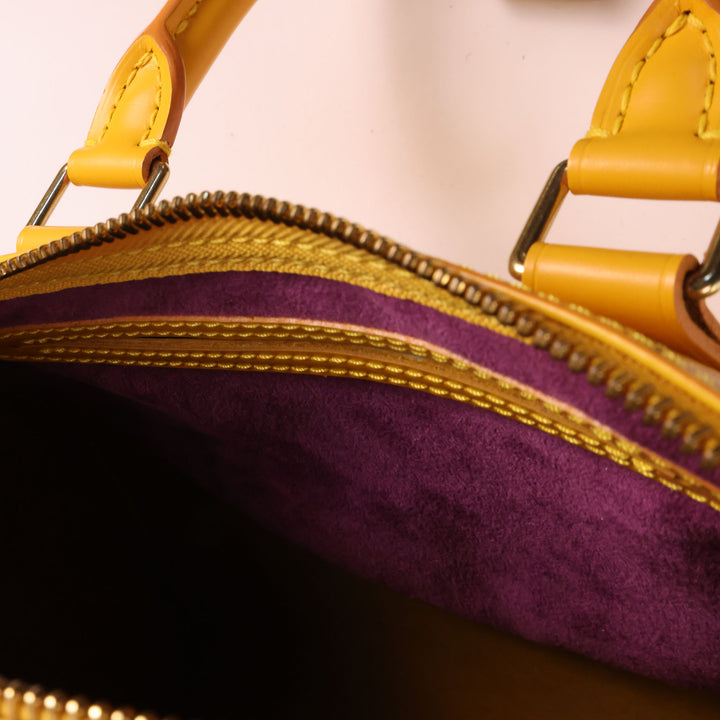 Louis Vuitton Speedy 25 Epi