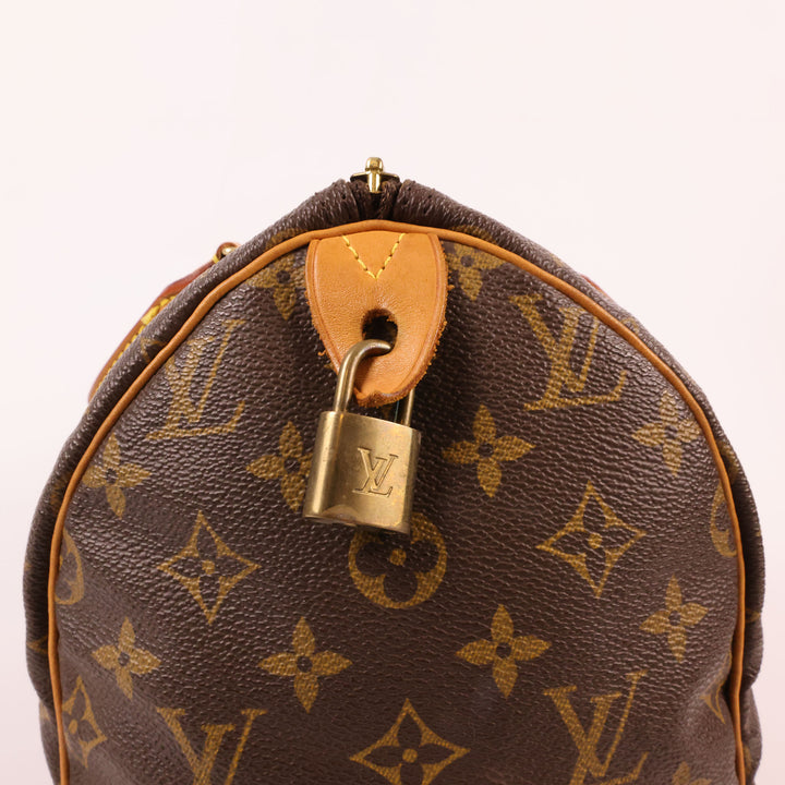 Louis Vuitton Speedy 30