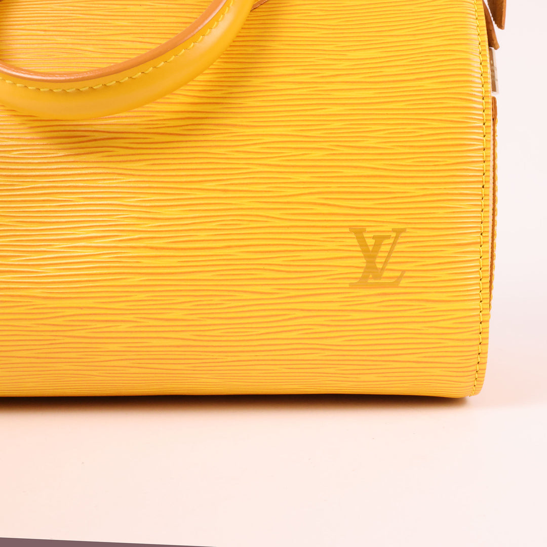 Louis Vuitton Speedy 25 Epi