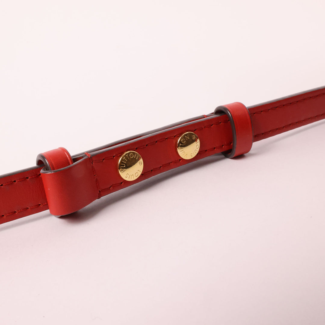 Louis Vuitton Neo Noé MM