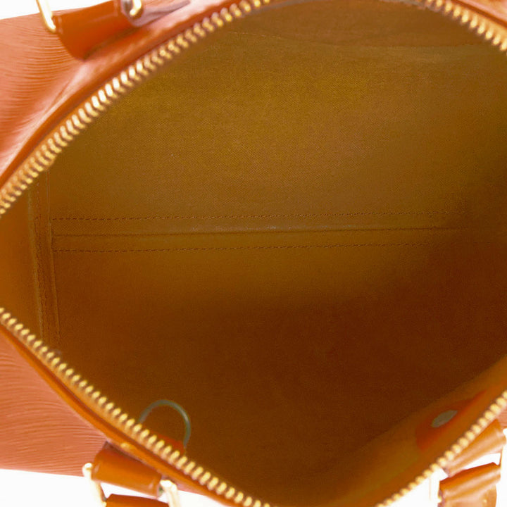 Louis Vuitton Speedy 25 Epi