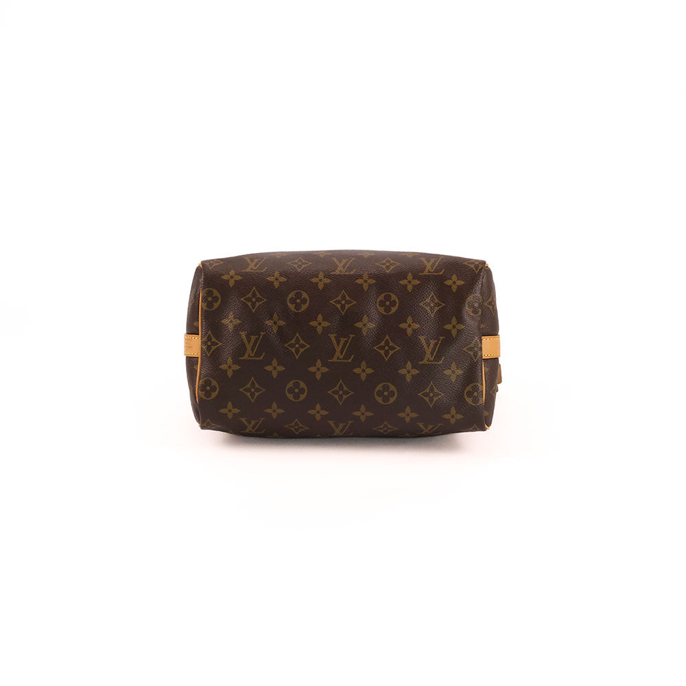 Louis Vuitton Speedy 25 Bandoulière