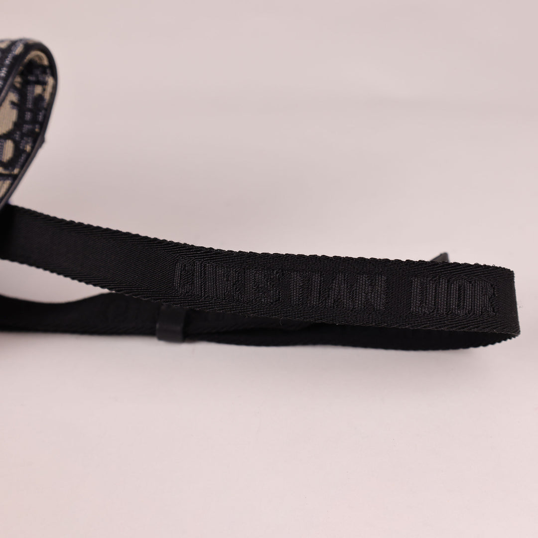 Dior Saddle Belt Bag